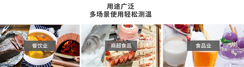 华盛昌 IR-100 多合一食品温度计应用